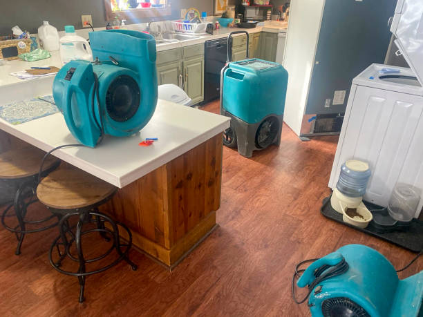 Best Local water damage restoration  in Acworth, GA