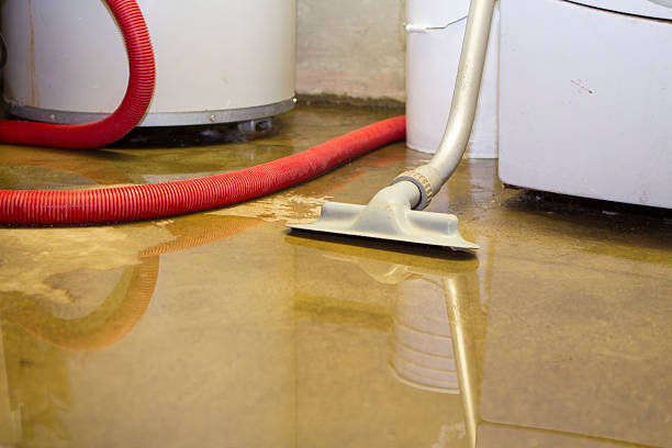 Best Local water damage restoration  in Acworth, GA
