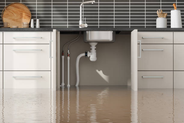 Best Flood restoration services  in Acworth, GA